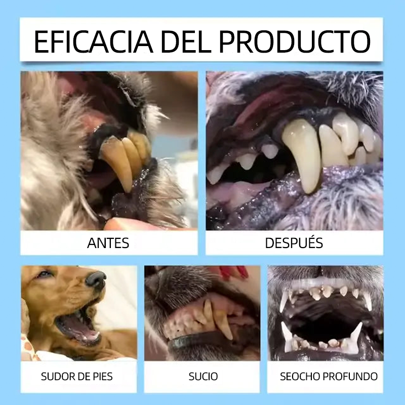 [Tienda oficial] 𝐂𝐮𝐫𝐞𝐕𝐢𝐯𝐨® Líquido bucal para la salud dental y digestiva de mascotas: refresca el aliento, elimina el sarro, favorece la regeneración de las encías y estabiliza los diente🔴