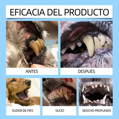 [Tienda oficial] 𝐂𝐮𝐫𝐞𝐕𝐢𝐯𝐨® Líquido bucal para la salud dental y digestiva de mascotas: refresca el aliento, elimina el sarro, favorece la regeneración de las encías y estabiliza los diente🔴